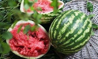 吃瓜的声音大全 第3张 吃瓜的声音大全 第3张